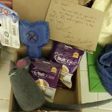 barkbox_sample